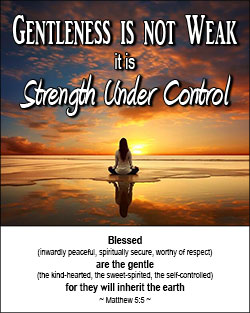'Gentleness is Not Weak' Poster Design 'Gentleness is Not Weak' Poster Design