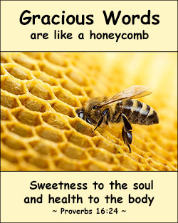 'Gracious Words' Poster Design 'Gracious Words' Poster Design