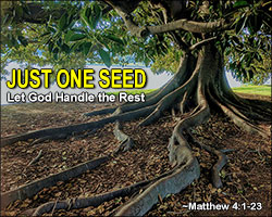 'Just One Seed' Poster Design