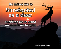 'Surefooted as a Deer' Poster Design