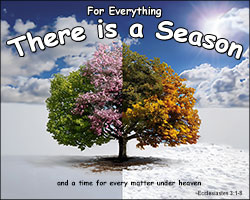 'There is a Season' Poster Design