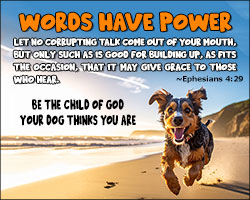 'Words Have Power' Design