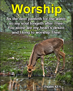 'Worship' Design